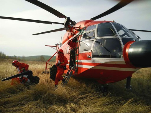 姜念濤 攝 姜念濤 攝